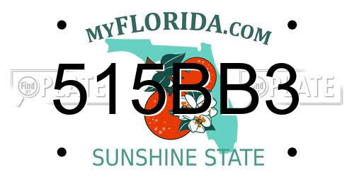 515BB3 Florida License Plate