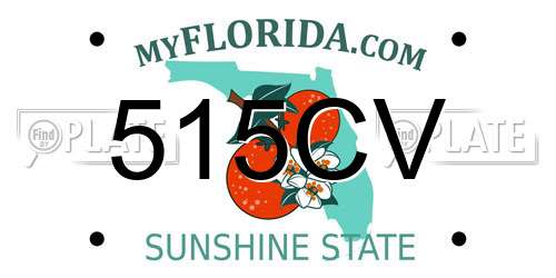 515CV Florida License Plate