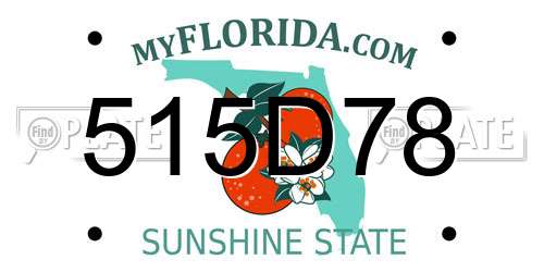 515D78 Florida License Plate