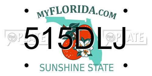515DLJ Florida License Plate