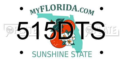 515DTS Florida License Plate