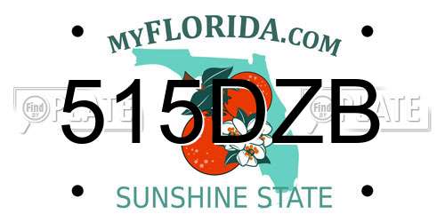 515DZB Florida License Plate