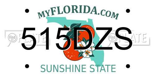 515DZS Florida License Plate