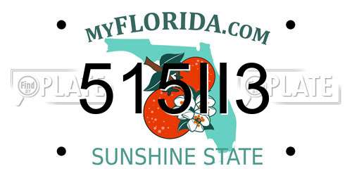 515II3 Florida License Plate