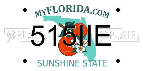 515IIE Florida License Plate