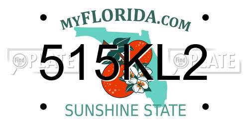 515KL2 Florida License Plate