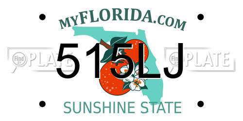 515LJ Florida License Plate