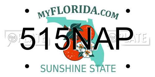 515NAP Florida License Plate