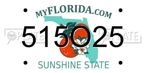 515O25 Florida License Plate