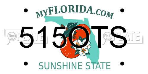 515OTS Florida License Plate
