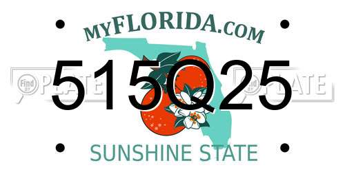 515Q25 Florida License Plate