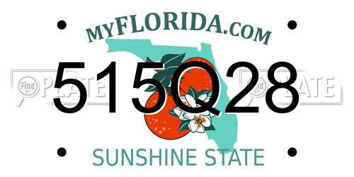515Q28 Florida License Plate