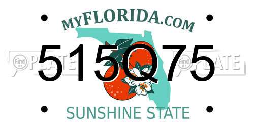 515Q75 Florida License Plate