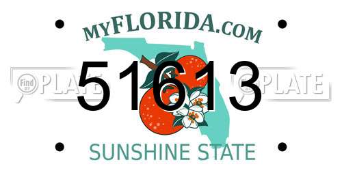 51613 Florida License Plate