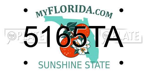 5165TA Florida License Plate