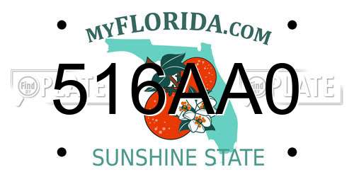 516AA0 Florida License Plate