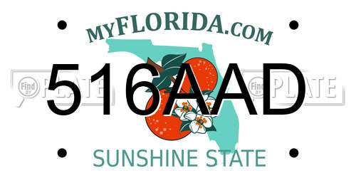 516AAD Florida License Plate