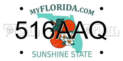 516AAQ Florida License Plate