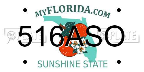 516ASO Florida License Plate
