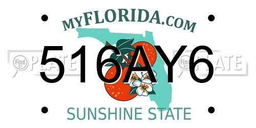 516AY6 Florida License Plate