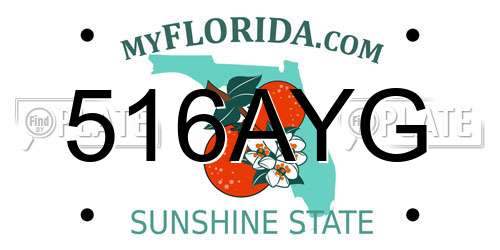 516AYG Florida License Plate