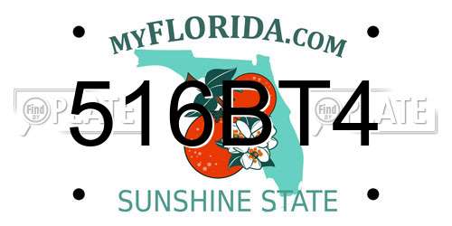 516BT4 Florida License Plate