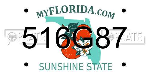 516G87 Florida License Plate