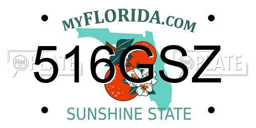 516GSZ Florida License Plate