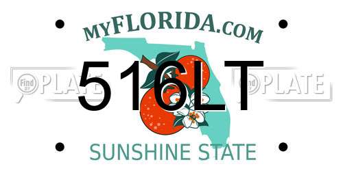 516LT Florida License Plate