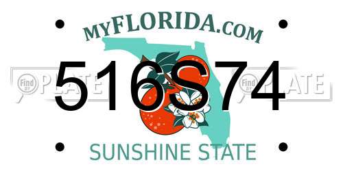 516S74 Florida License Plate
