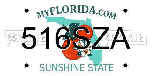 516SZA Florida License Plate