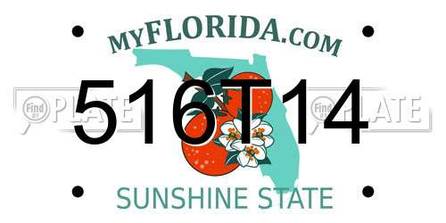 516T14 Florida License Plate