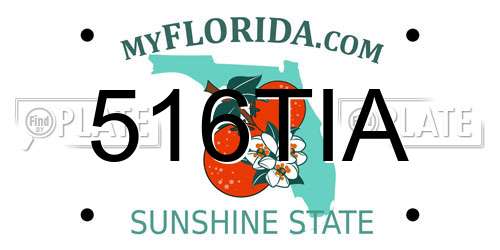 516TIA Florida License Plate