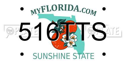 516TTS Florida License Plate