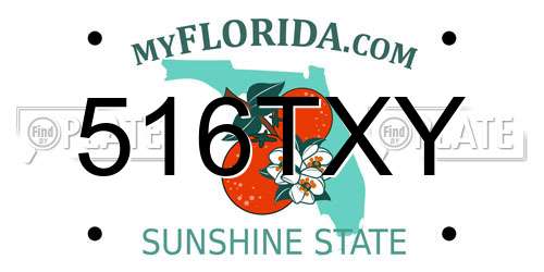 516TXY Florida License Plate