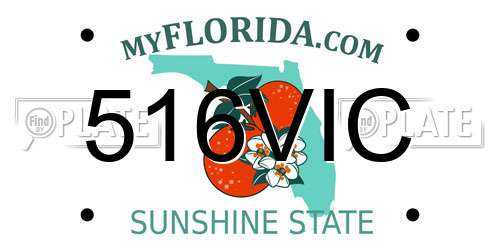 516VIC Florida License Plate