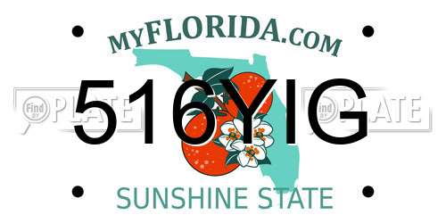 516YIG Florida License Plate