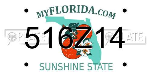 516Z14 Florida License Plate