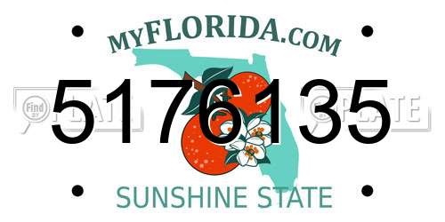 5176135 Florida License Plate