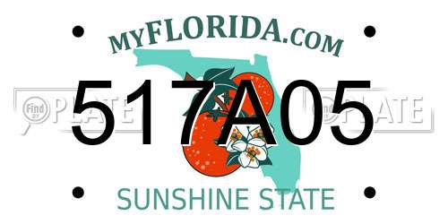 517A05 Florida License Plate