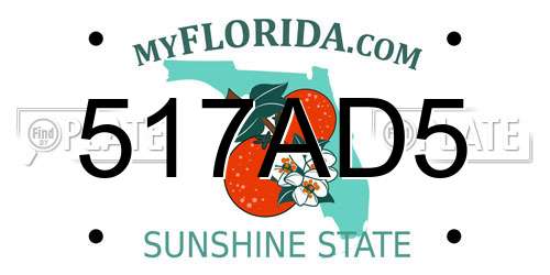517AD5 Florida License Plate