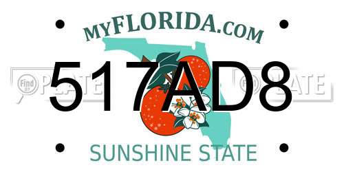 517AD8 Florida License Plate