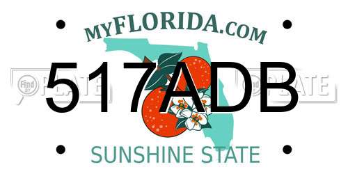 517ADB Florida License Plate