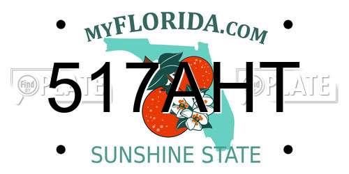 517AHT Florida License Plate