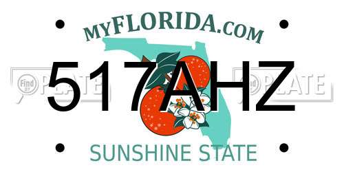 517AHZ Florida License Plate