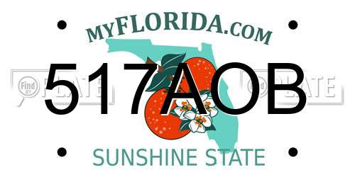517AOB Florida License Plate