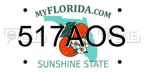 517AOS Florida License Plate