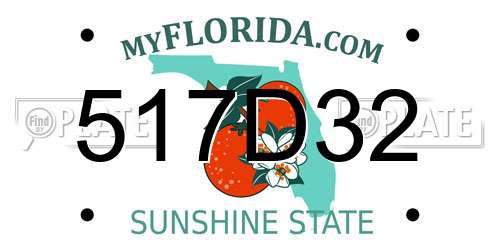 517D32 Florida License Plate