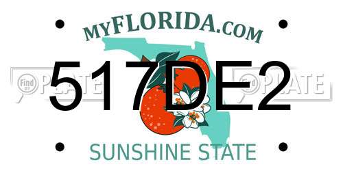 517DE2 Florida License Plate