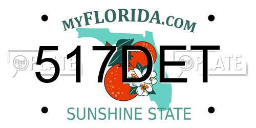 517DET Florida License Plate